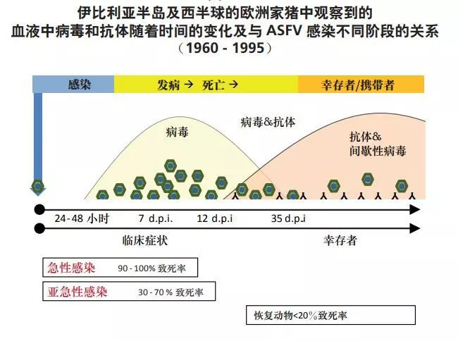 非洲猪瘟的实验室诊断