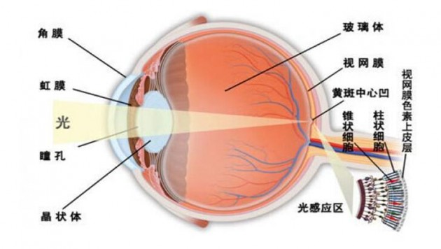 深入解读蓝光危害 蓝光真的会对眼睛造成伤害吗?