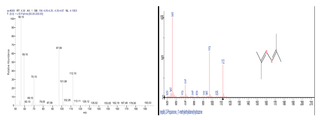 图4. 0.5μg/mL水合肼衍生后在不同类型色谱柱上的分离情况.png