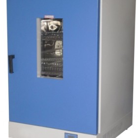DGG-9240A 250℃立式恒温鼓风干燥箱