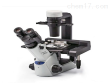 奥林巴斯CKX53 常规型显微镜