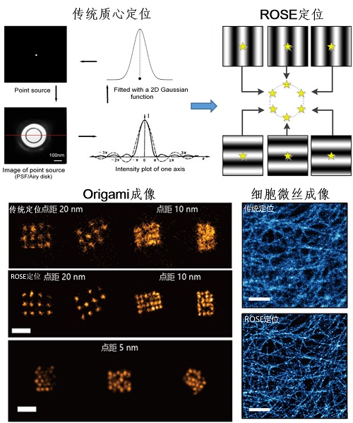 生物物理所研制出分子尺度分辨率干涉定位显微镜