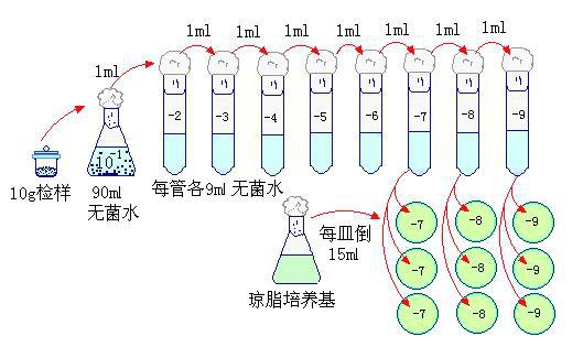 菌落总数检验程序