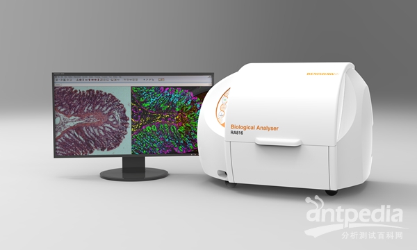 RA816生物分析仪