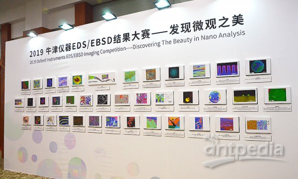 2019牛津仪器发现微观之美参赛作品展