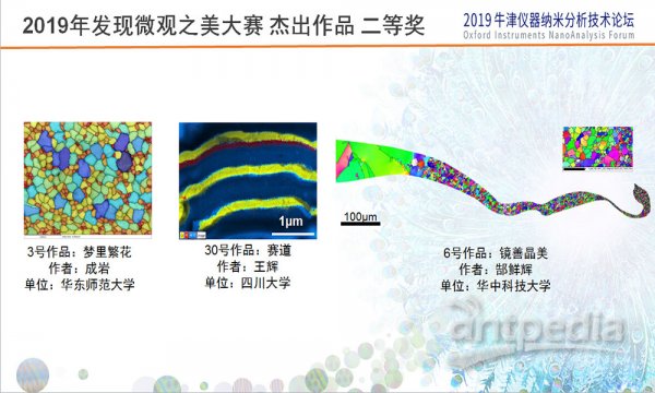 2019年发现微观之美大赛 杰出作品 二等奖