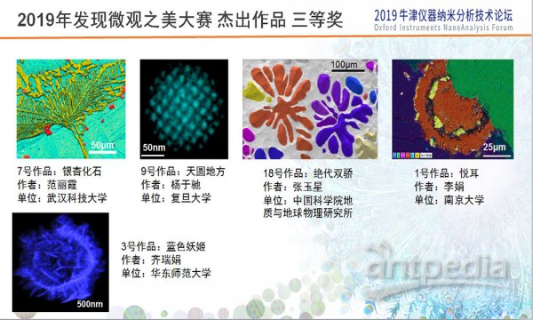 2019年发现微观之美大赛 杰出作品 三等奖