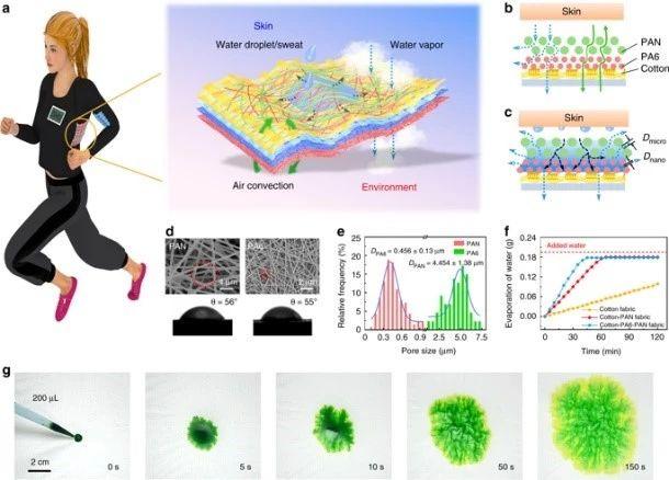 (a)电子织物材料的透气、透湿及吸湿排汗功能示意图；(b)和(c)亲水纤维的多级网络结构及直径分布