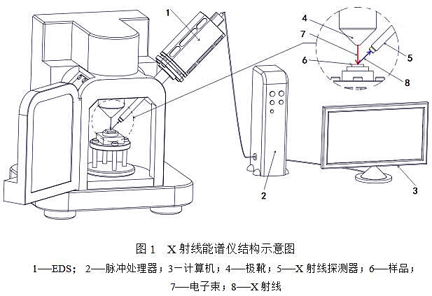 X射线能谱仪结构示意图