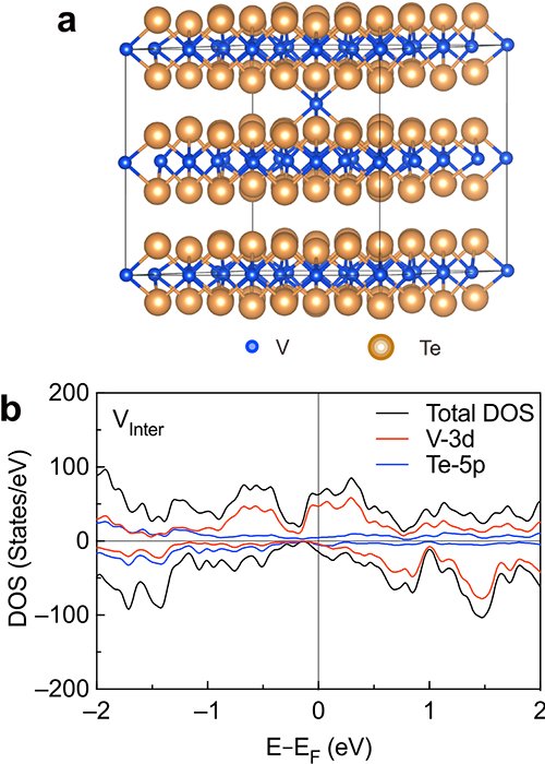 含插层钒离子的VTe2的原子结构（a）及投影态密度（b）