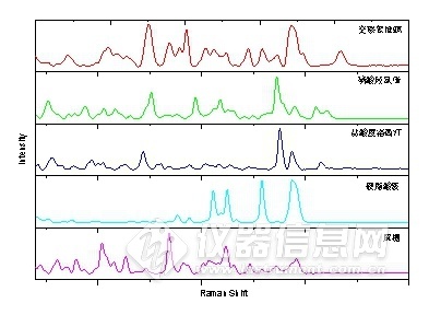 不同类型的原辅药具特征明显不同的拉曼光谱谱图