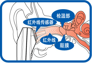 红外线耳温枪 测温