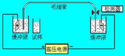 图1毛细血管电泳仪结构