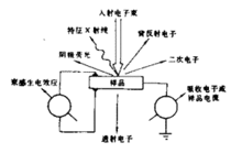 电子束和固体样品表面作用时的物理现象