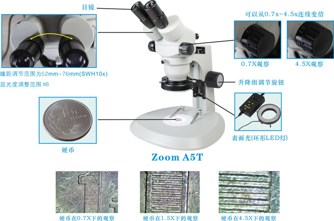 不同倍数观察硬币的效果