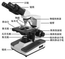 生物纤维镜的结构