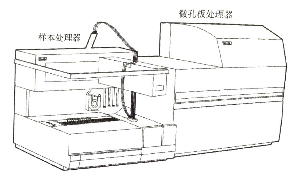 图1 时间分辨荧光免疫分析仪