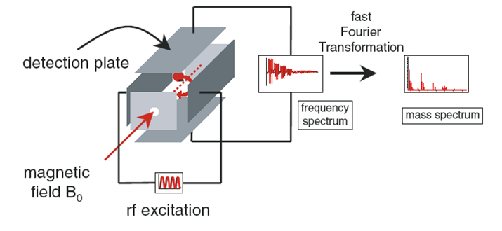 傅立叶变换离子回旋共振