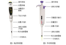 电动移液器和手动移液器