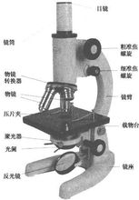 光学显微镜结构