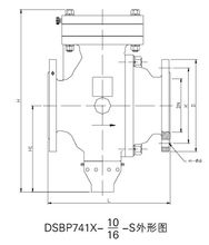 DSBP741X型倒流防止器外形图