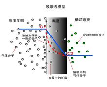 气体渗透原理图