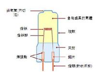 卤素灯结构图