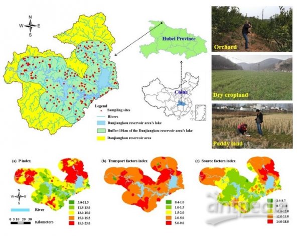武汉植物园在丹江口库区农田土壤磷素空间分布和污染风险评价方面取得进展