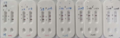 从左至右为一位新型冠状病毒感染者的血样稀释至1:512倍后仍可被本试剂盒检出