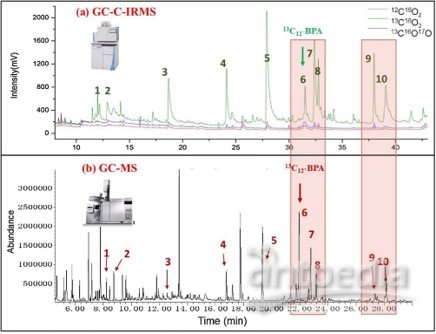 GC-C-IRMS和GC-MS的对比图谱