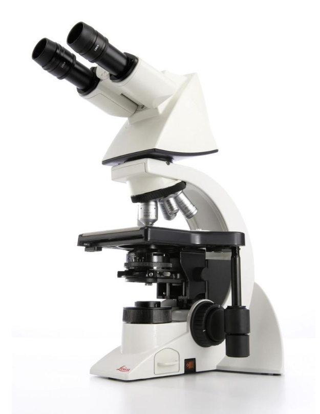 德国徕卡正置生物显微镜DM1000