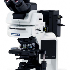 日本奥林巴斯BX53研究级生物显微镜双目三目显微镜