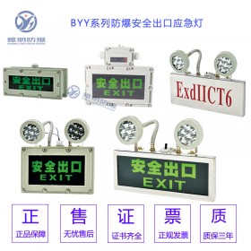 BYY-LED2WDC36V粉尘防爆标志灯