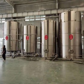 小型精酿啤酒设备 小型啤酒厂设备 3000升啤酒设备
