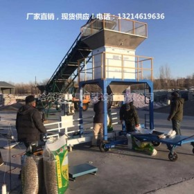 云南省稻谷种子灌袋机 -电动控制自动包装机-销售地点