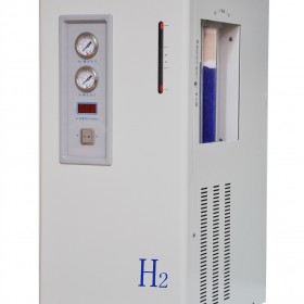 仪器型号：XH-2L型氢气发生器