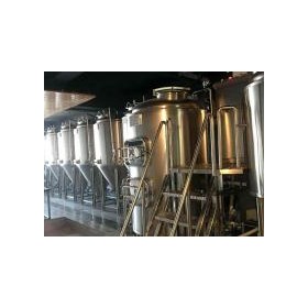 四川精酿啤酒设备供应厂家 生啤酒的设备多少钱