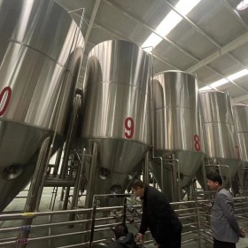 长沙20吨精酿啤酒设备 大型啤酒酿酒设备厂家生产