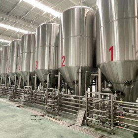 辽宁精酿啤酒厂大型啤酒设备 年产量30万吨自动化啤酒设备