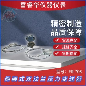 侧装式双法兰压力变送器FR-706