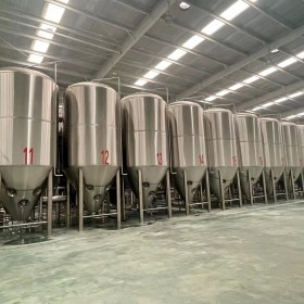 年产30万吨大型精酿啤酒设备啤酒厂啤酒设备酿酒设备厂家