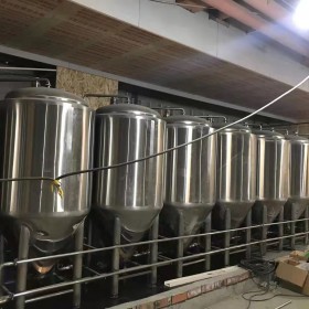 杭州精酿酒吧1000升鲜酿啤酒设备酿啤酒的设备多少钱