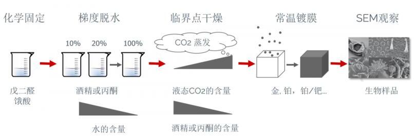 QQ截图20220606162421