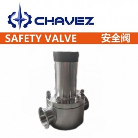 进口安全背压阀 PVC脉冲阻尼器 气体蒸汽 计量泵配件单向